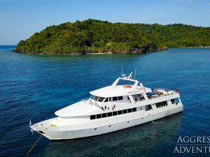 Experience Diving The Bay Of Islands Aboard The Roatan Aggressor