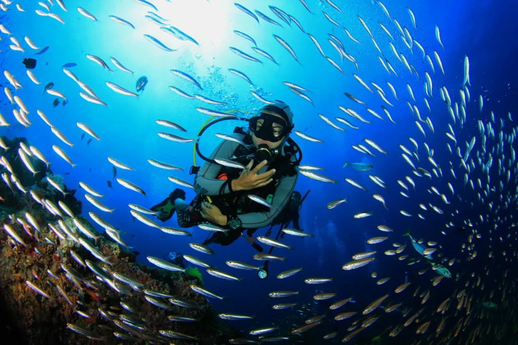5 Dive Destinations Around The World